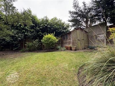 Picture 33